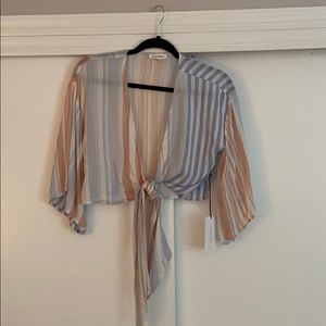 NWT Cotton Candy Crop Top